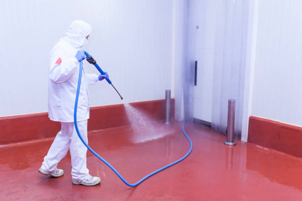 Best Commercial Pressure Washing in Stafford Courthouse, VA